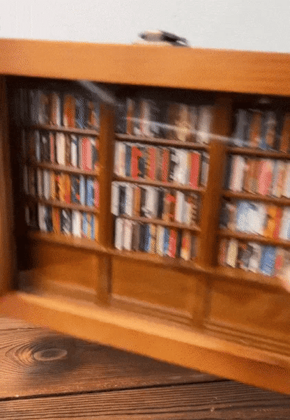 Shake & Sort Anxiety Shelf